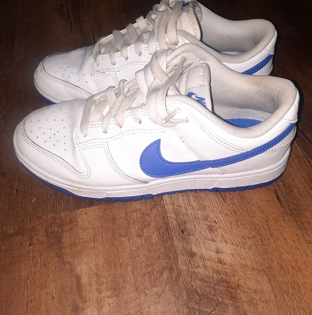 Nike Dunk Low Shoes